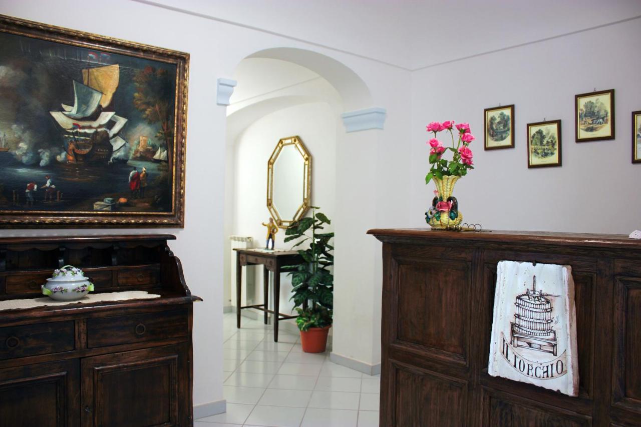 Bed and Breakfast La Pergola Del Torchio Ischia Zewnętrze zdjęcie