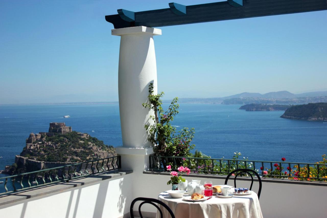 Bed and Breakfast La Pergola Del Torchio Ischia Zewnętrze zdjęcie