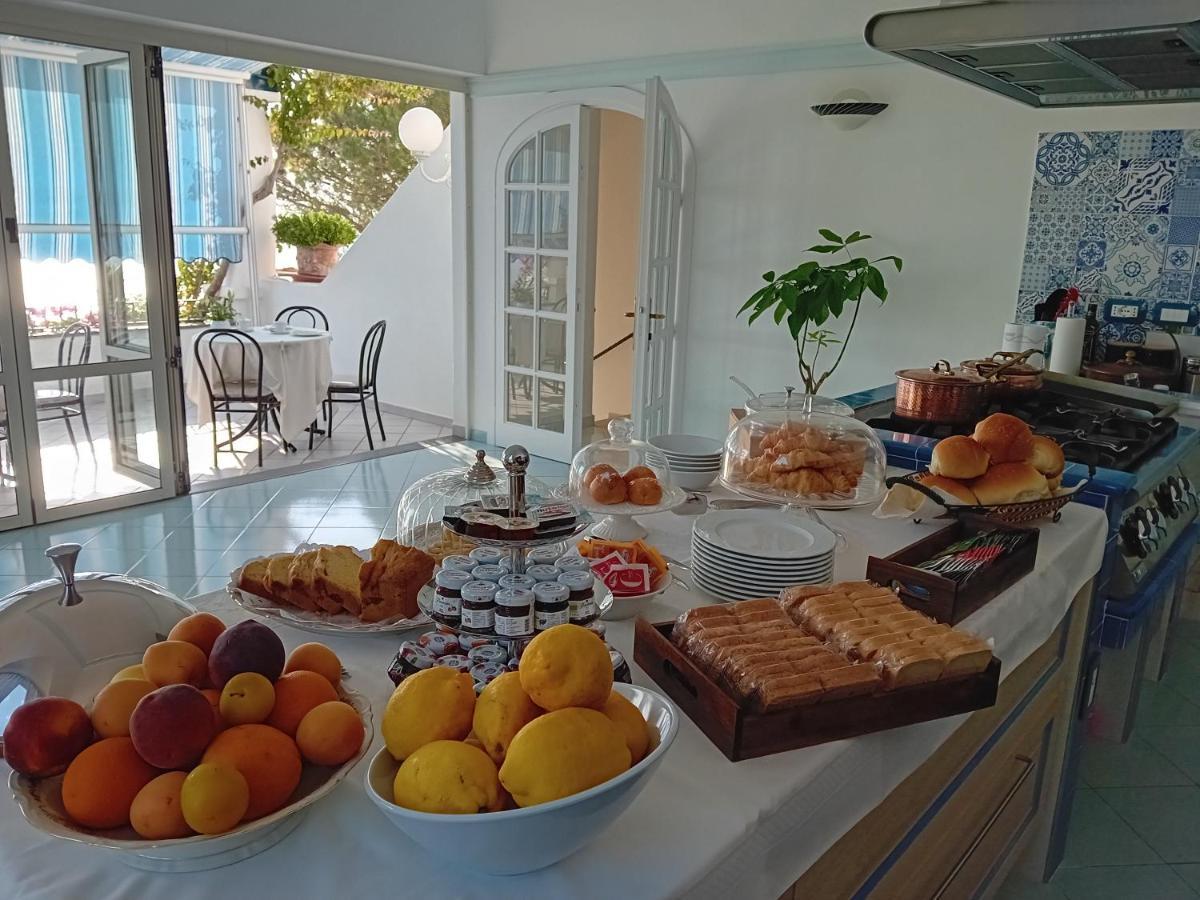 Bed and Breakfast La Pergola Del Torchio Ischia Zewnętrze zdjęcie